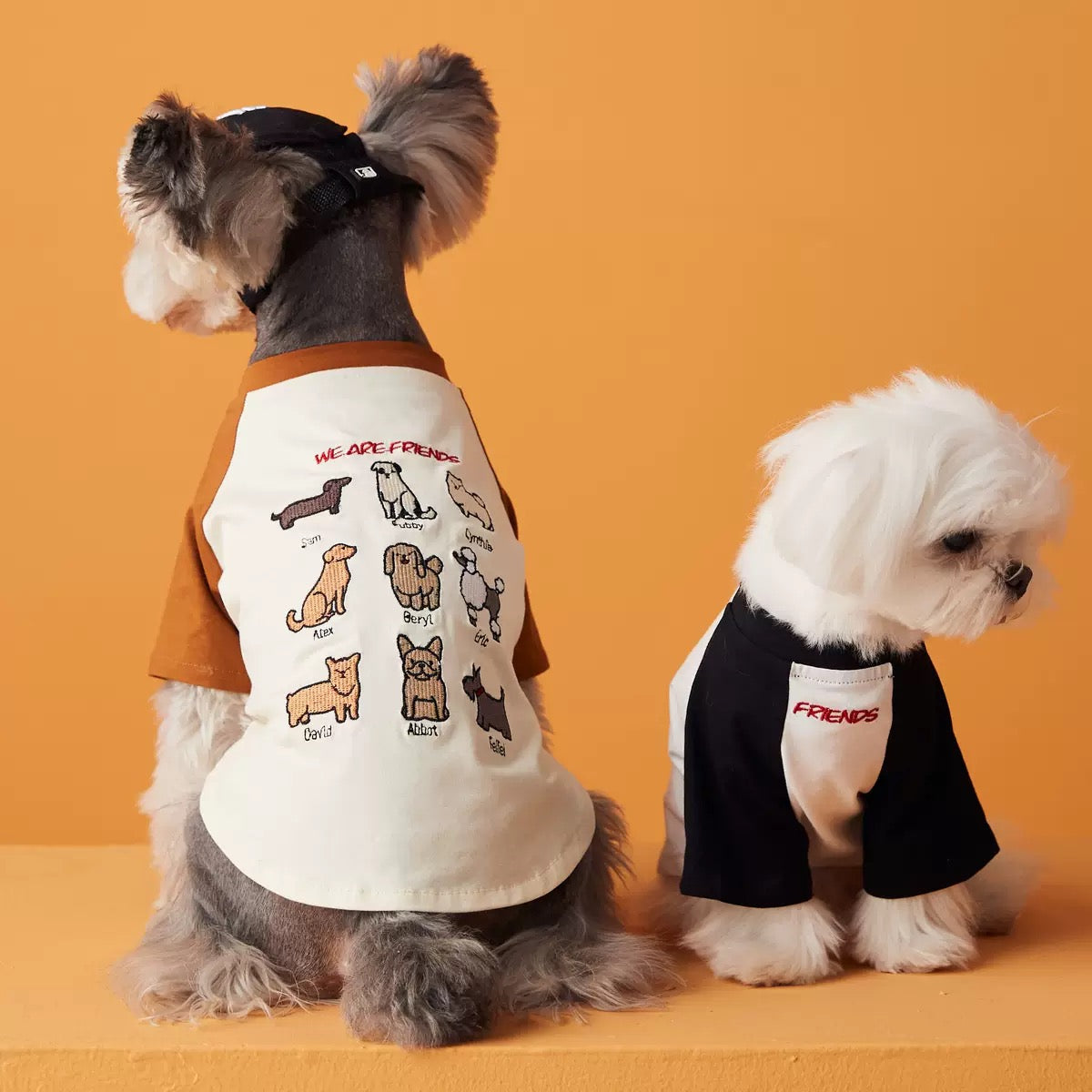‘Friends’ Embroidered Cute Cotton Dog T-Shirt
