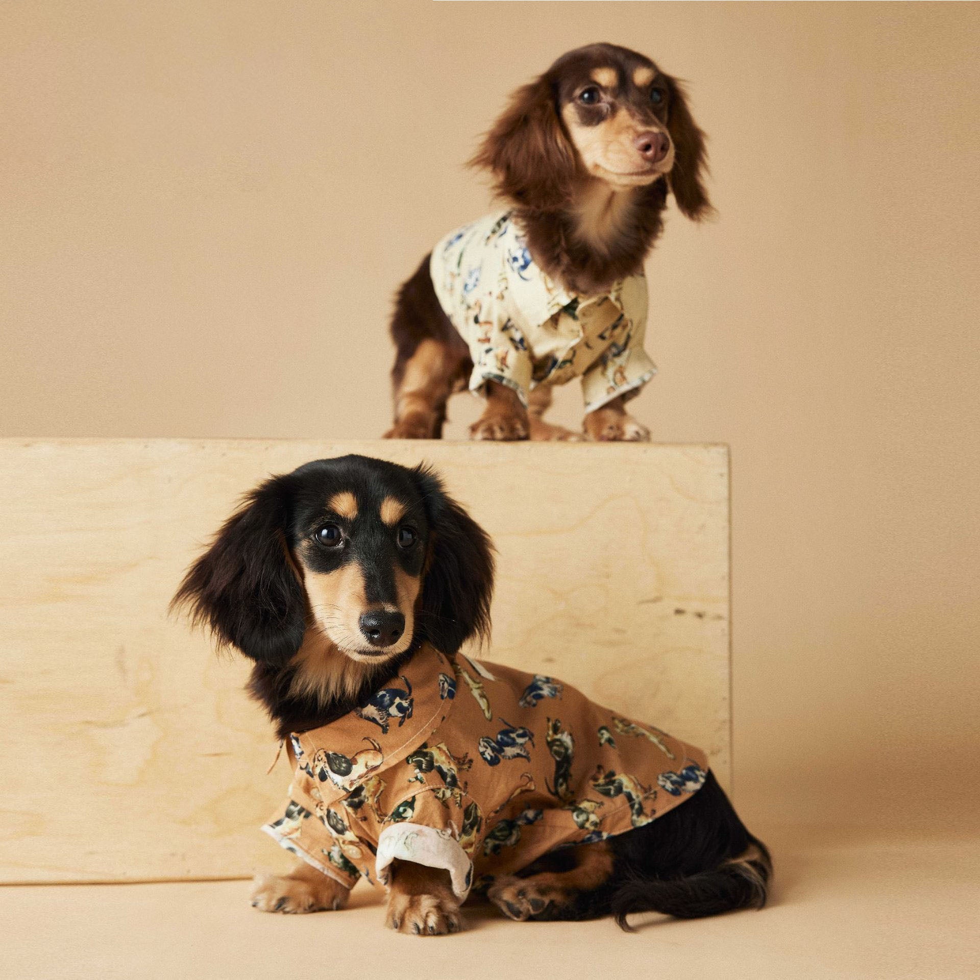 Vintage Dog Print Cotton Shirt