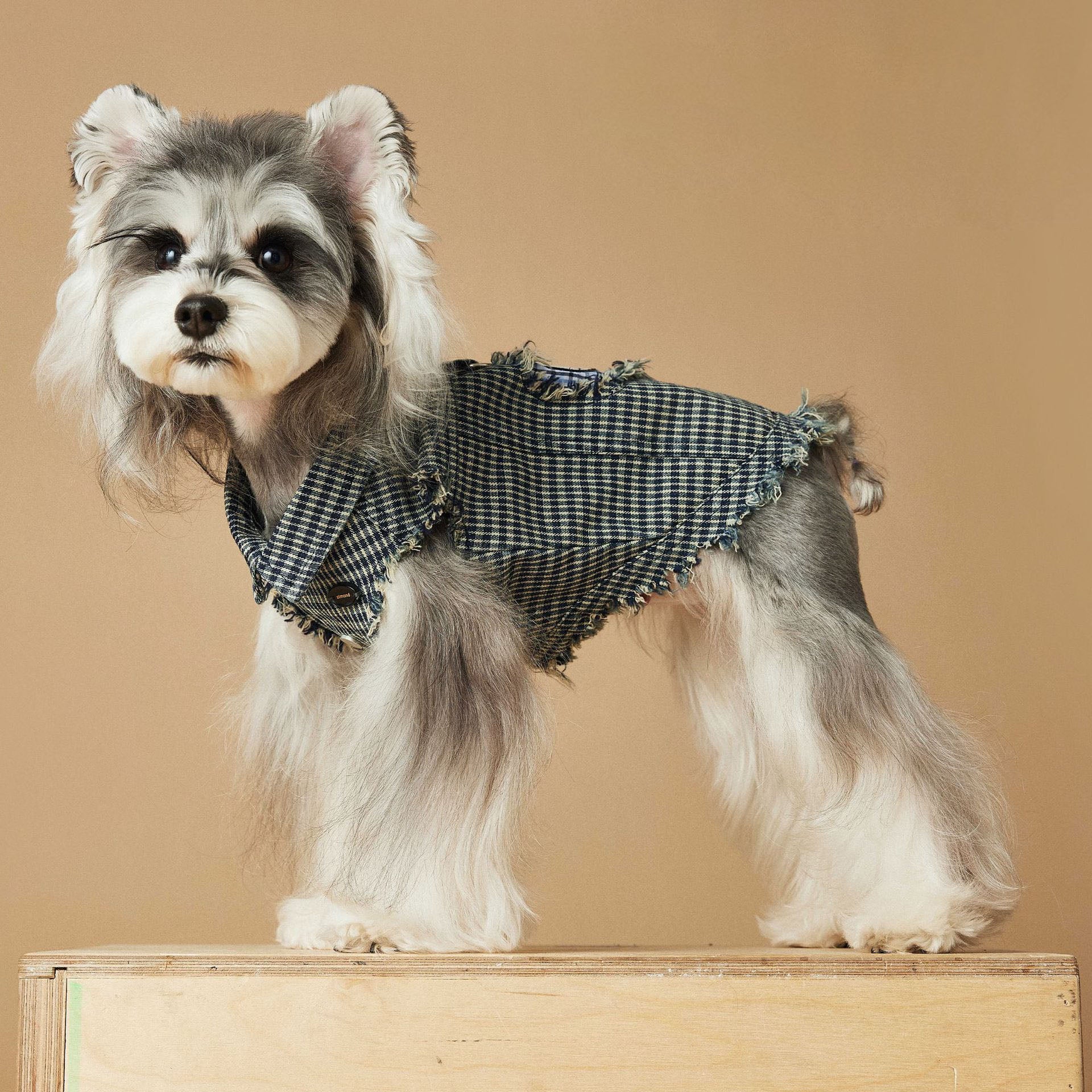 Vintage Plaid Dog Vest with Fringe and Embroidered Patch