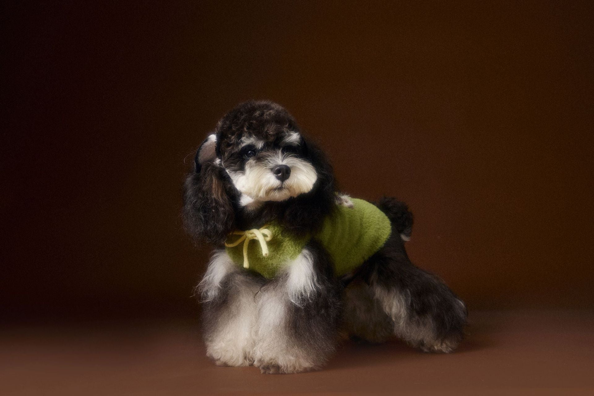 Spotted Pup Fuzzy Hooded Vest