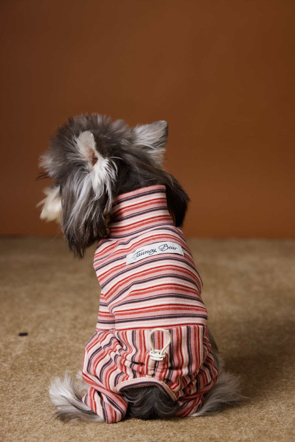 Striped Four-Legged Turtleneck Base Layer