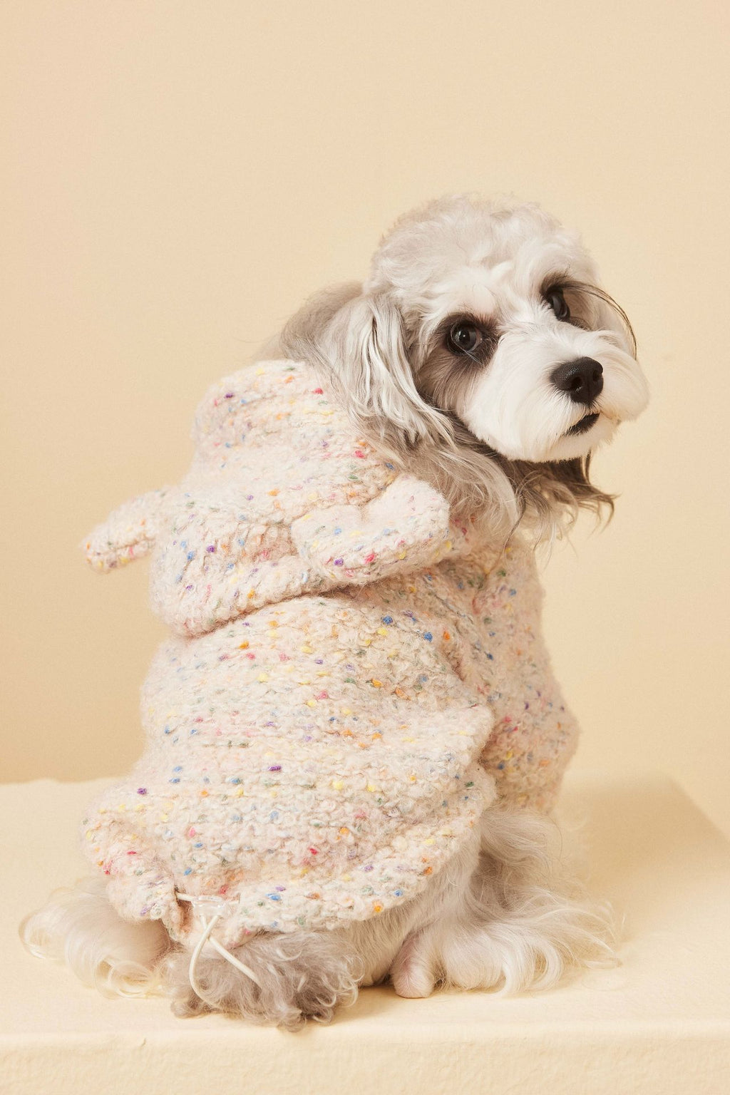 Teddy Ear Wool Hoodie
