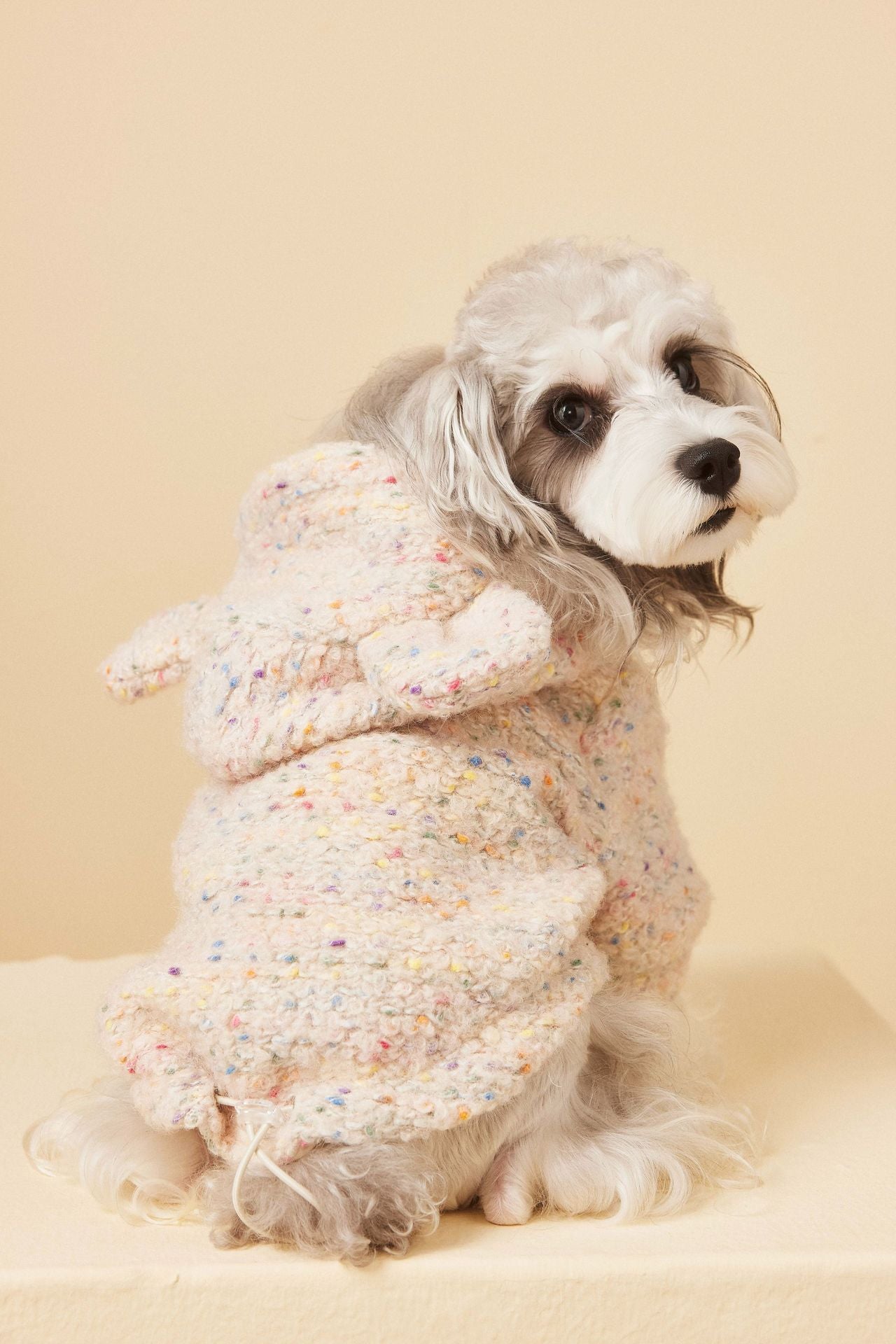 Teddy Ear Wool Hoodie
