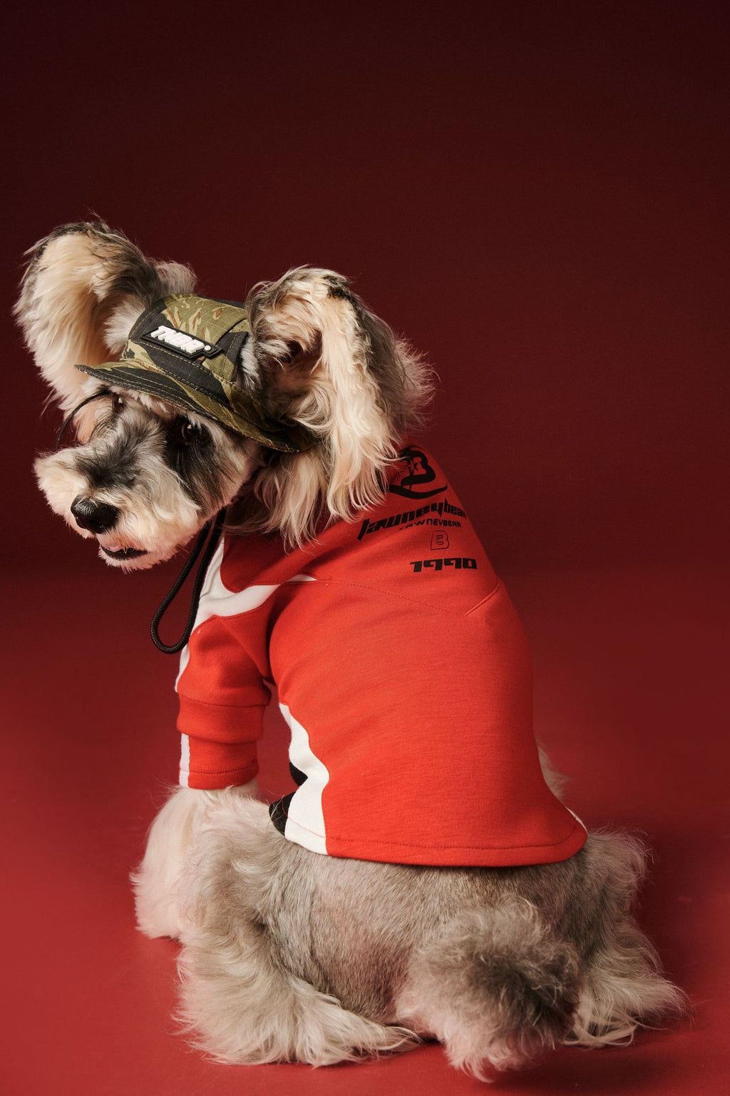 Moto Style Sweatshirt for Dogs