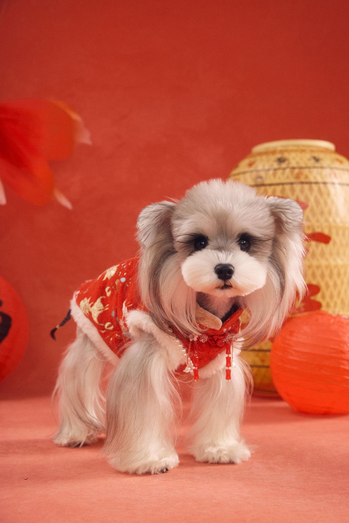 Festive Goldfish Brocade New Year Vest