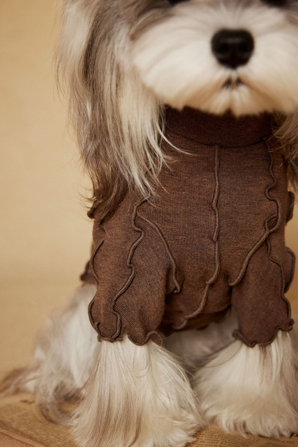 Ruffle Edge Dog Shirt