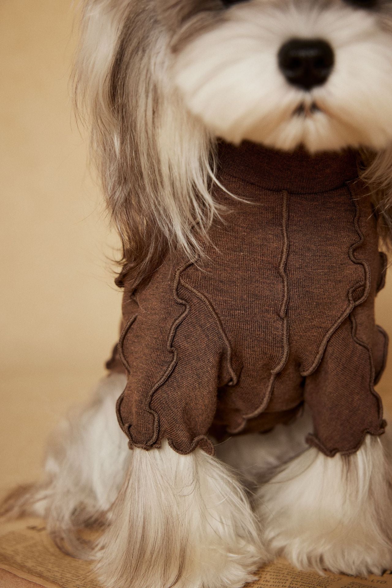 Ruffle Edge Dog Shirt