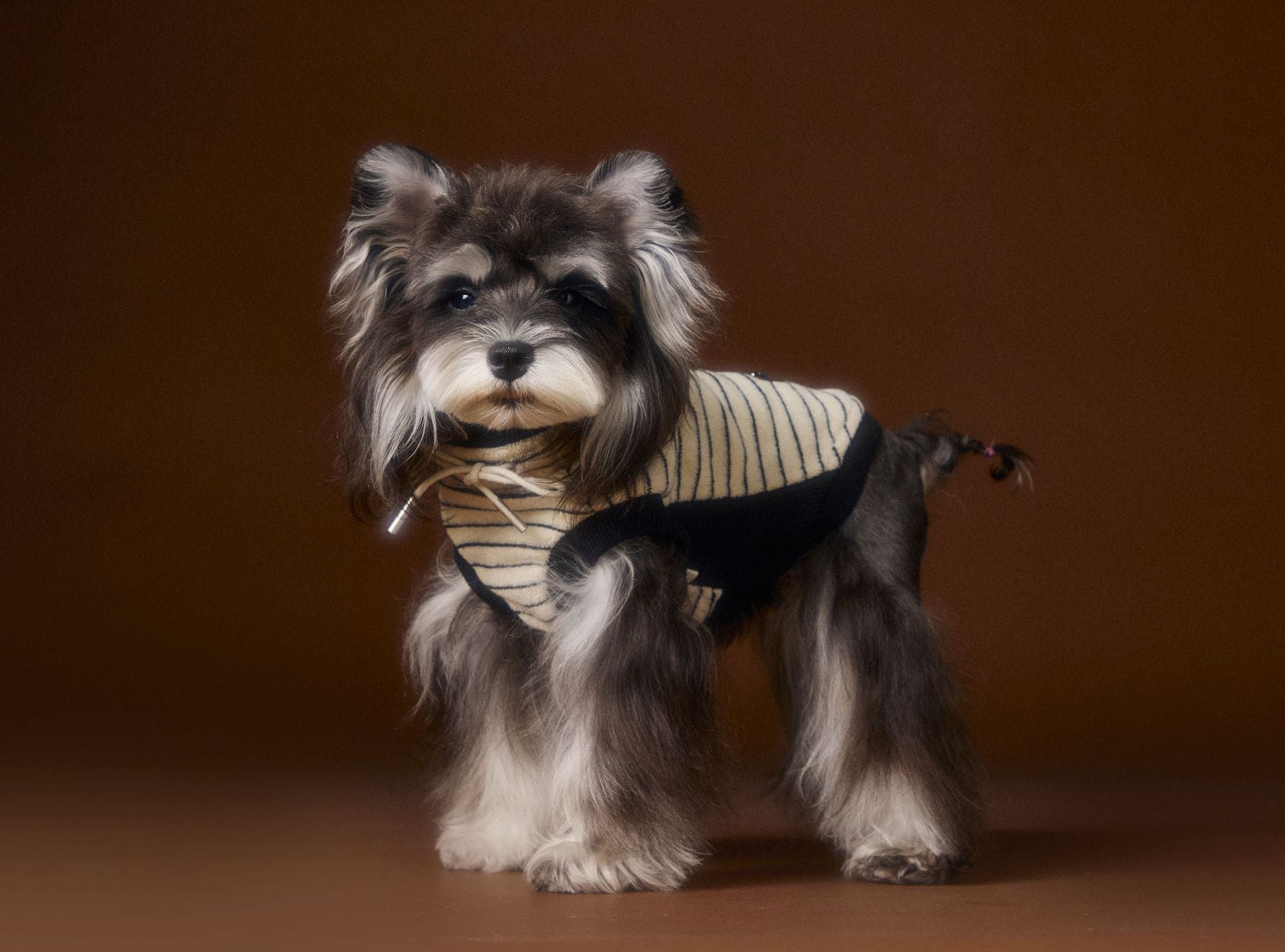 Striped Turtleneck Knit Vest