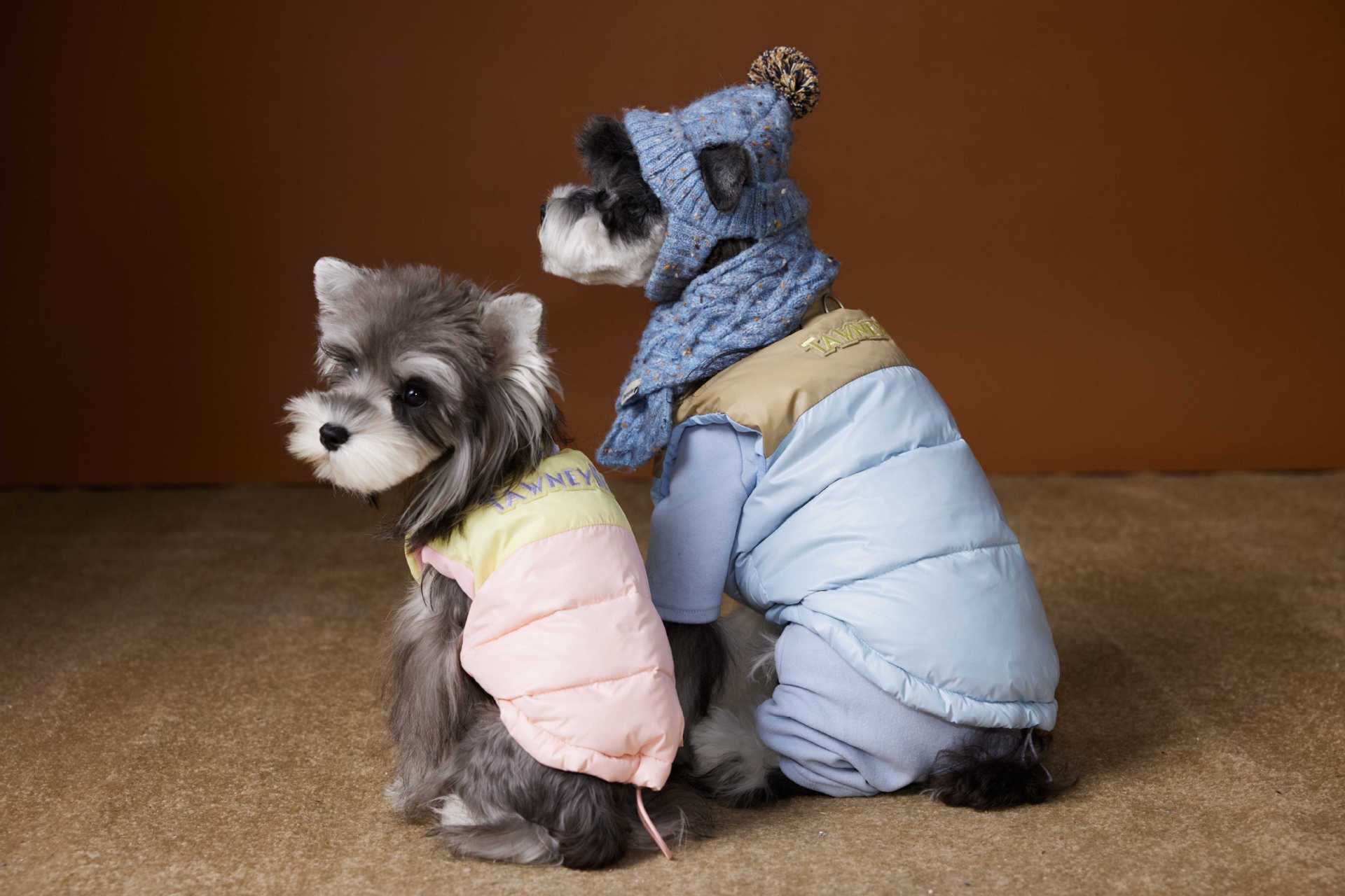 Colorblock Puffer Vest