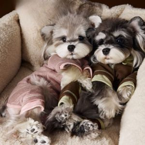 Soft Rose-Mocha Lounge Jumpsuit