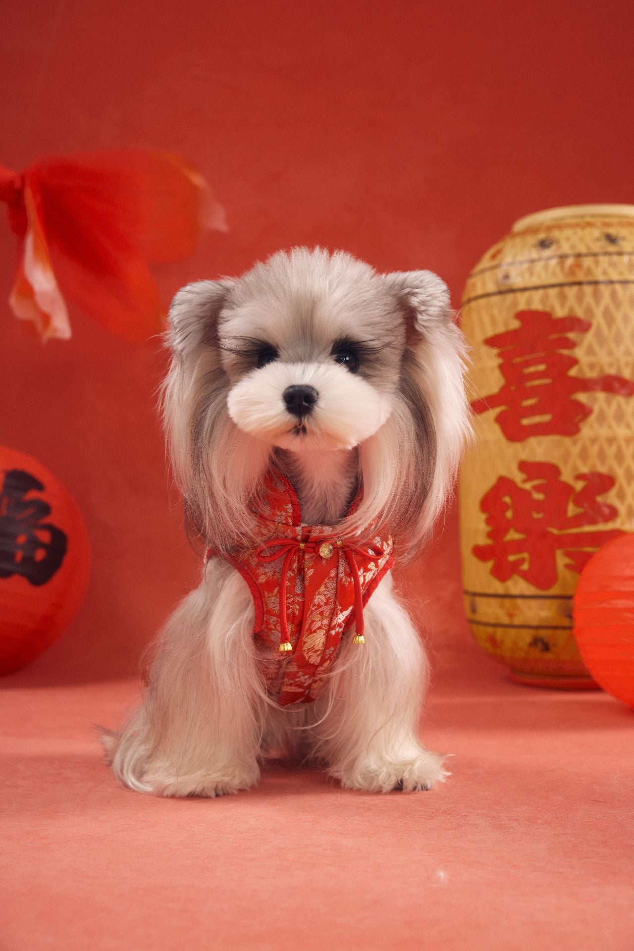Lunar Brocade Cheongsam Dress