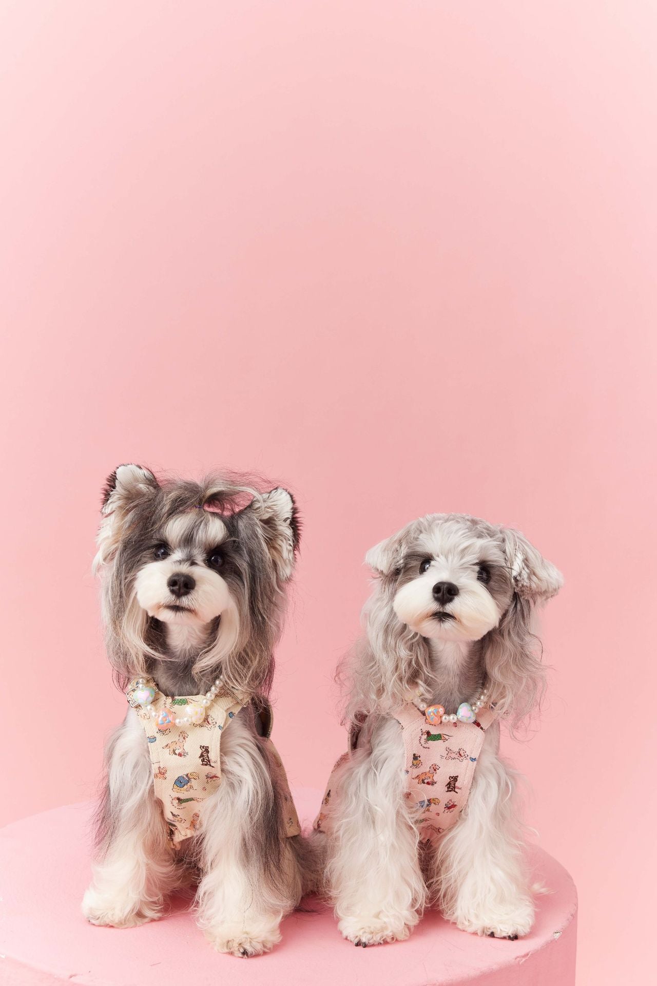 Denim Puppy Print Dress