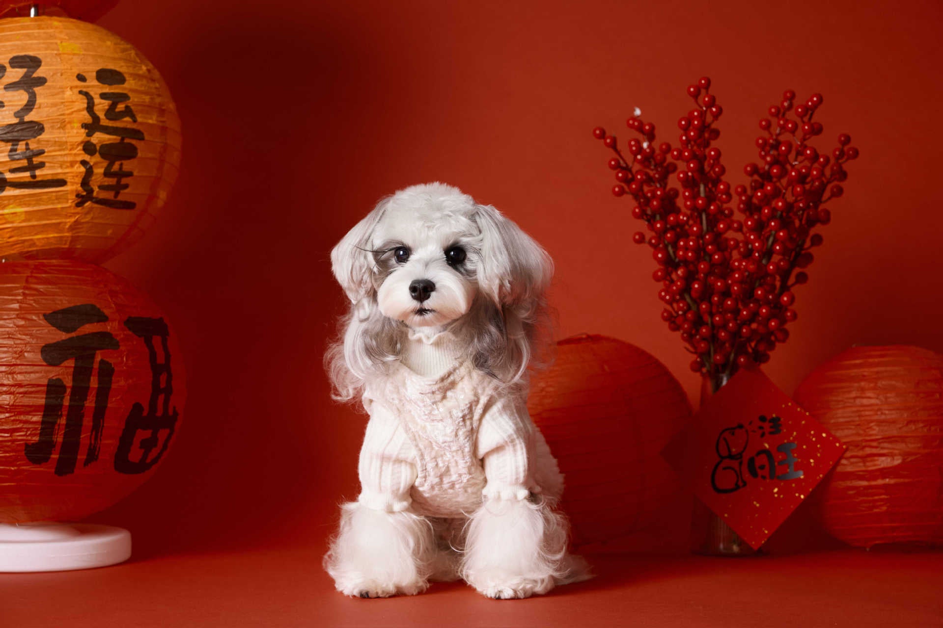 Chic Tweed Ruffle Dress for Dogs