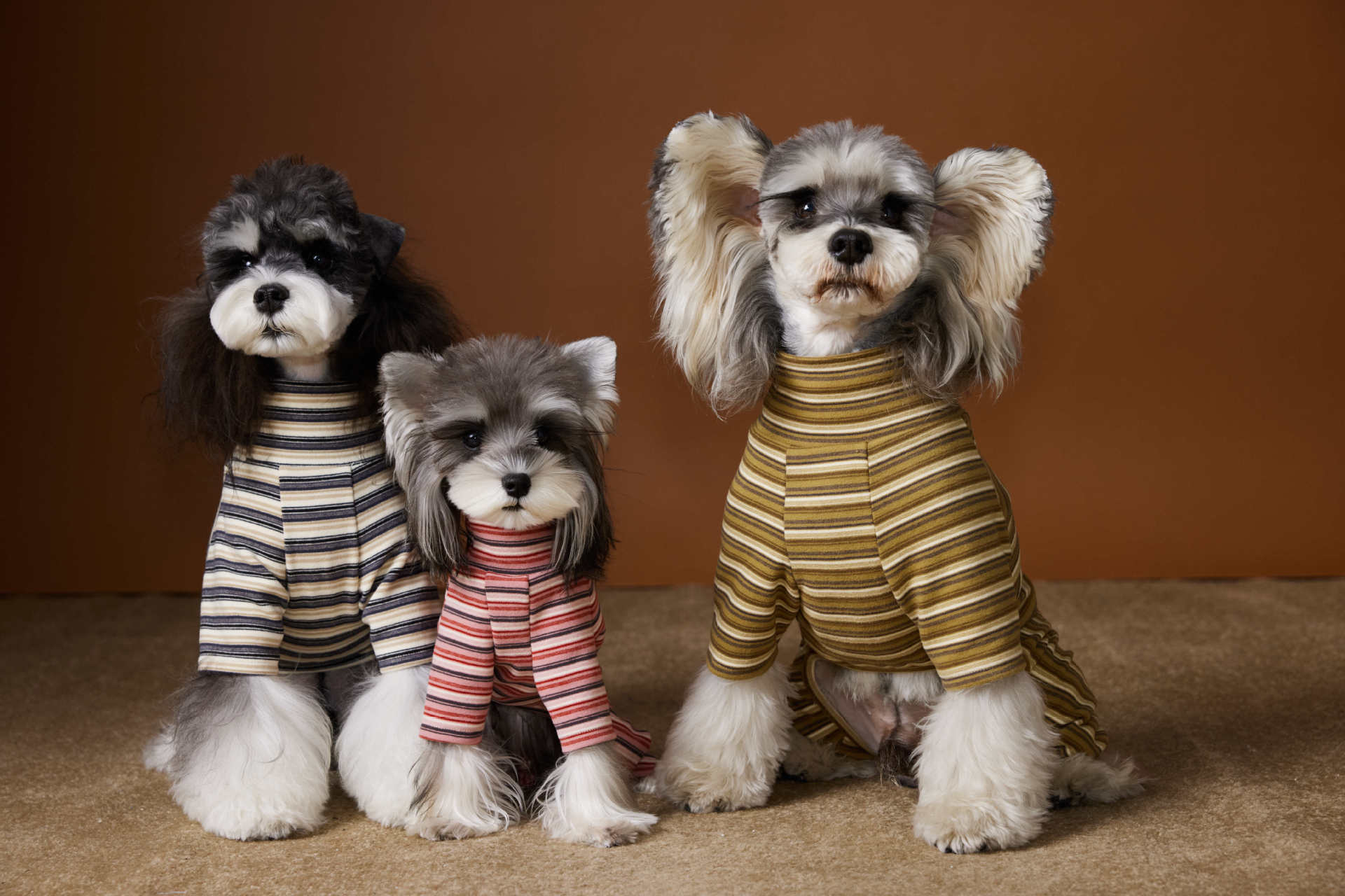 Striped Four-Legged Turtleneck Base Layer
