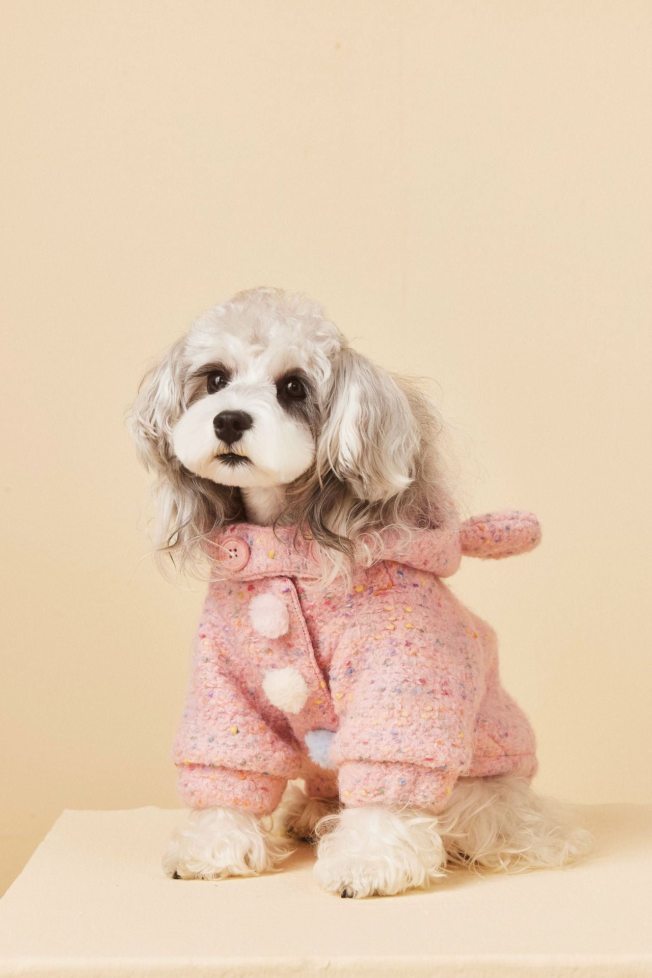 Teddy Ear Wool Hoodie