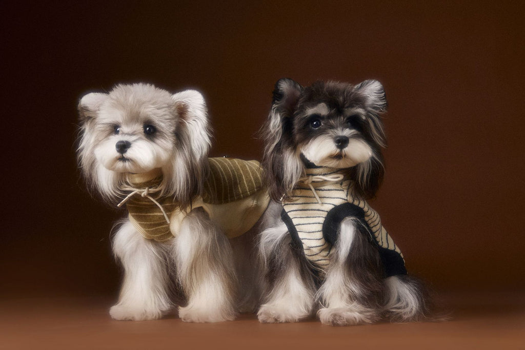 Striped Turtleneck Knit Vest