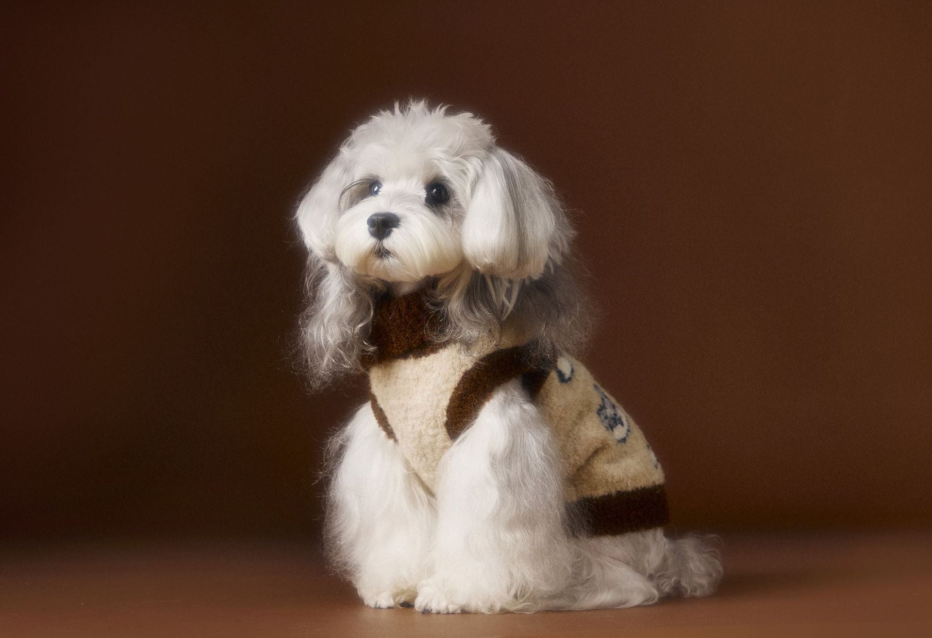 Vintage Knit Dog Sweater with Cartoon Embroidery