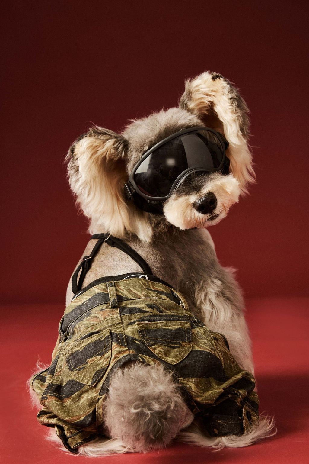 Camouflage Suspender Pants