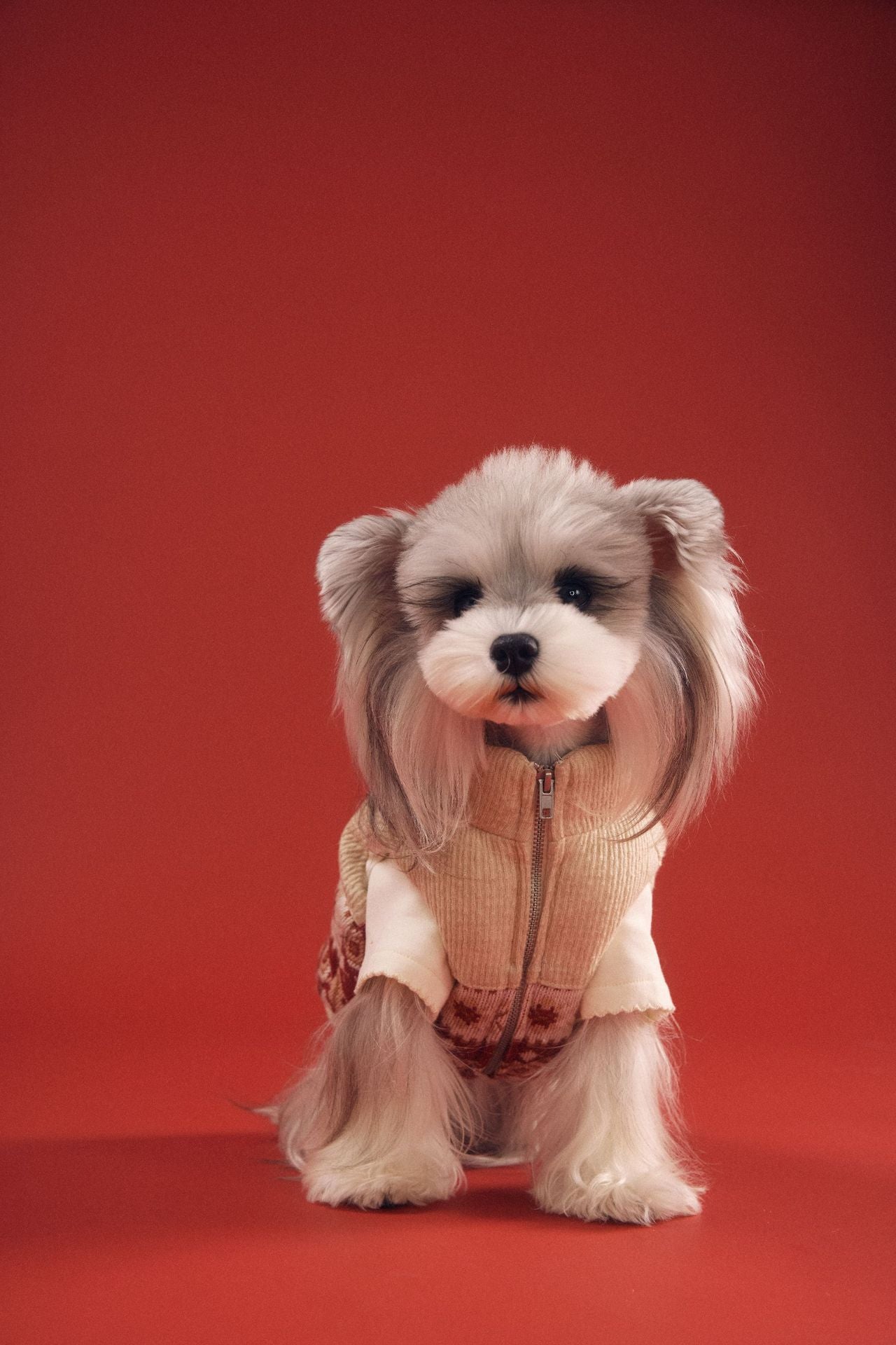 Fair Isle Knit Dog Vest with Corduroy Trim