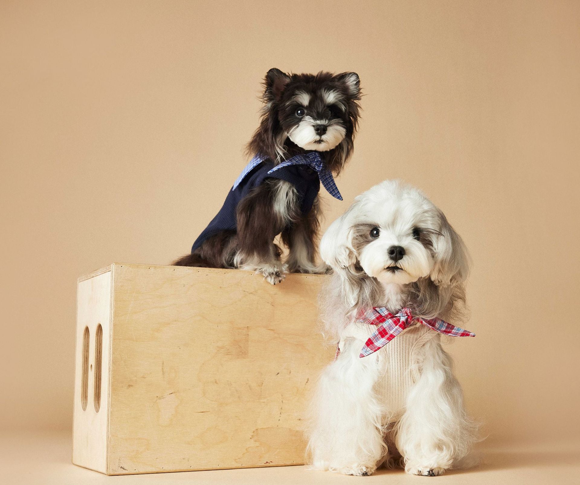 Plaid Collar Sleeveless Knit Vest