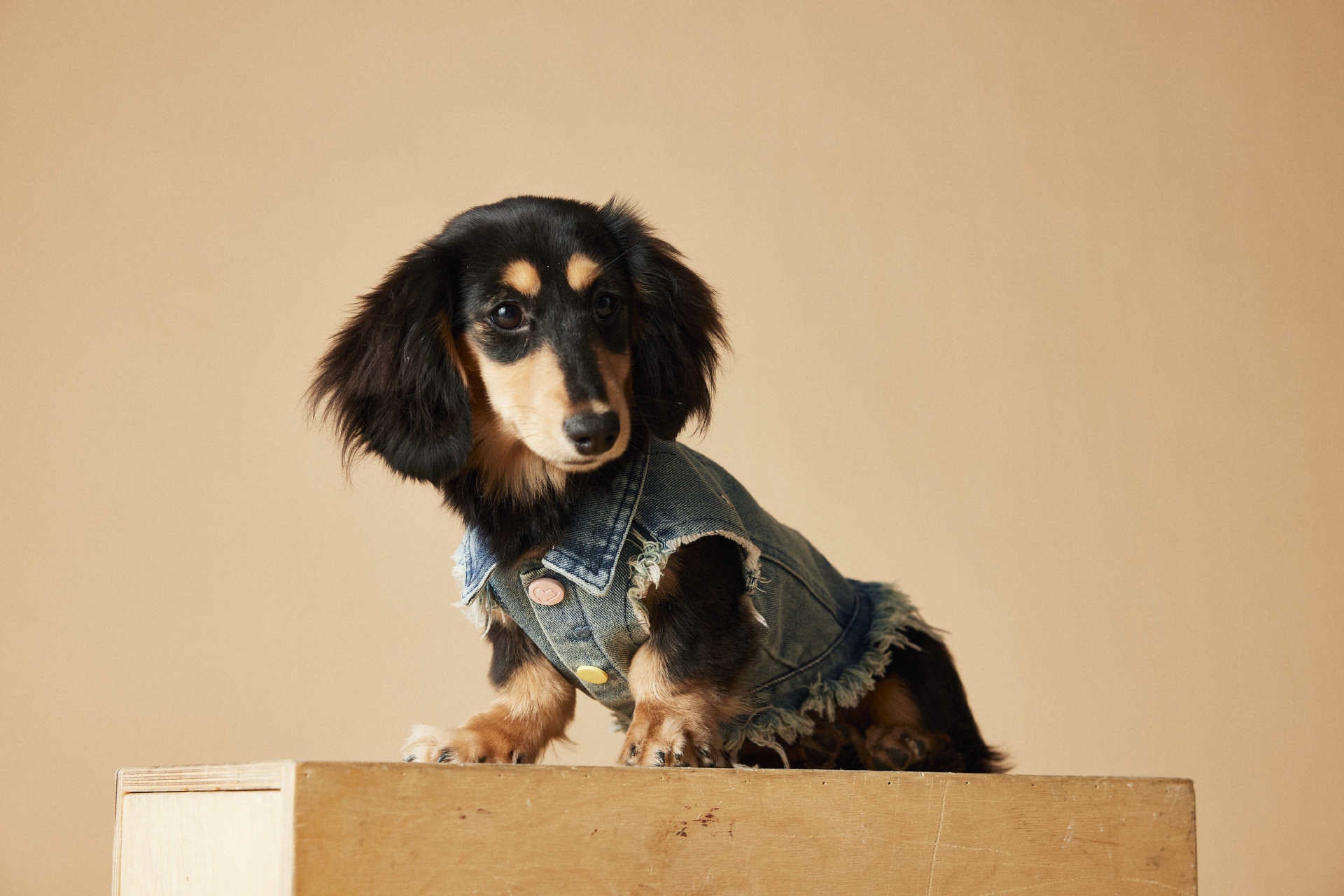 Retro Fringe Denim Vest