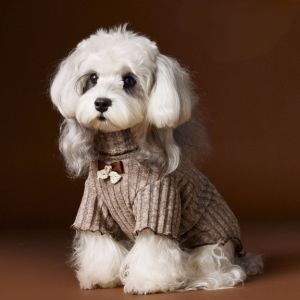 Ribbed Knit Turtleneck Tee with Lace Bow