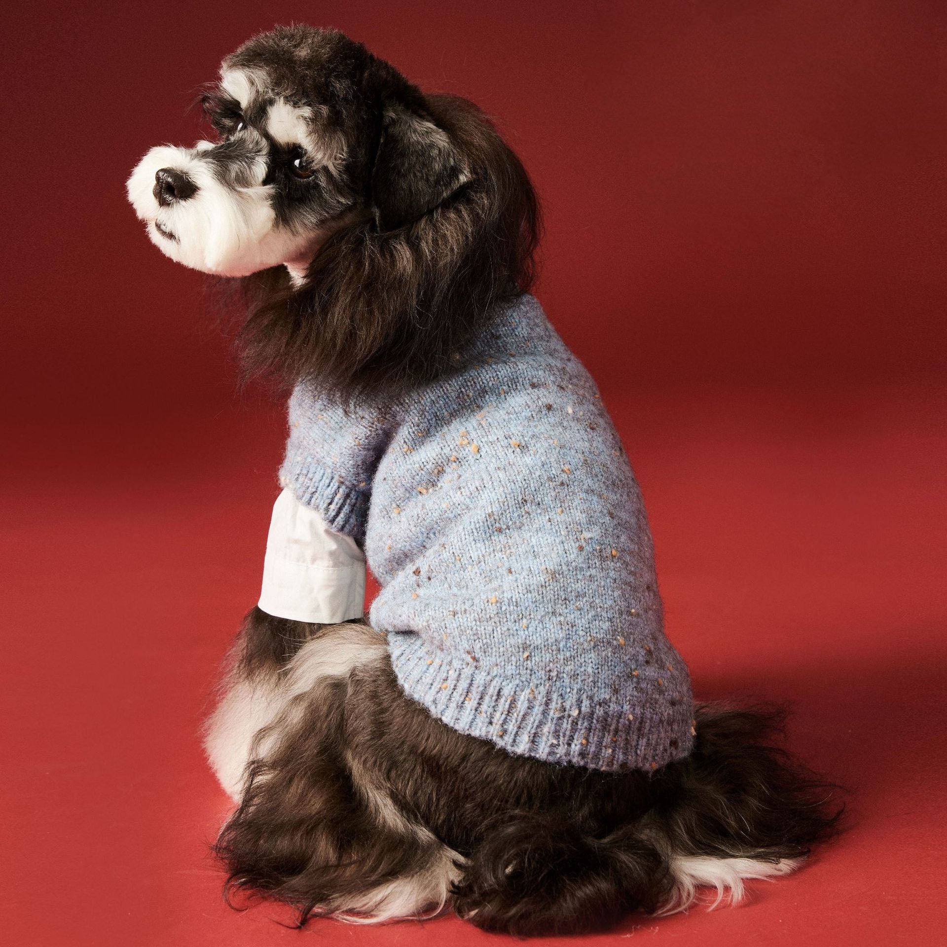 Gray Blue Knit Dog Sweater Vest
