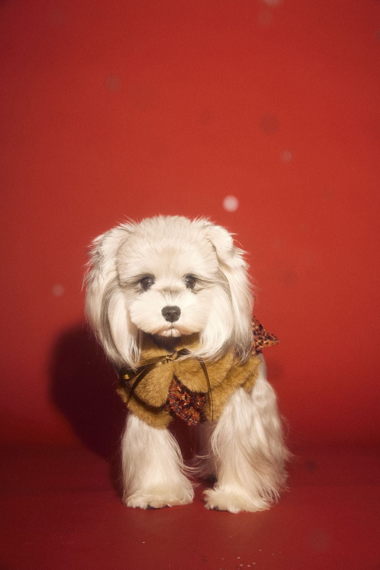 Luxury Red Sequin Dog Dress with Fur Collar and Bow