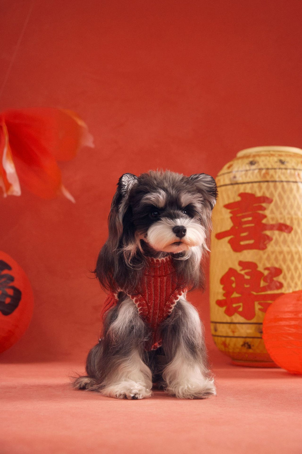 Hooded Pony Knit Vest