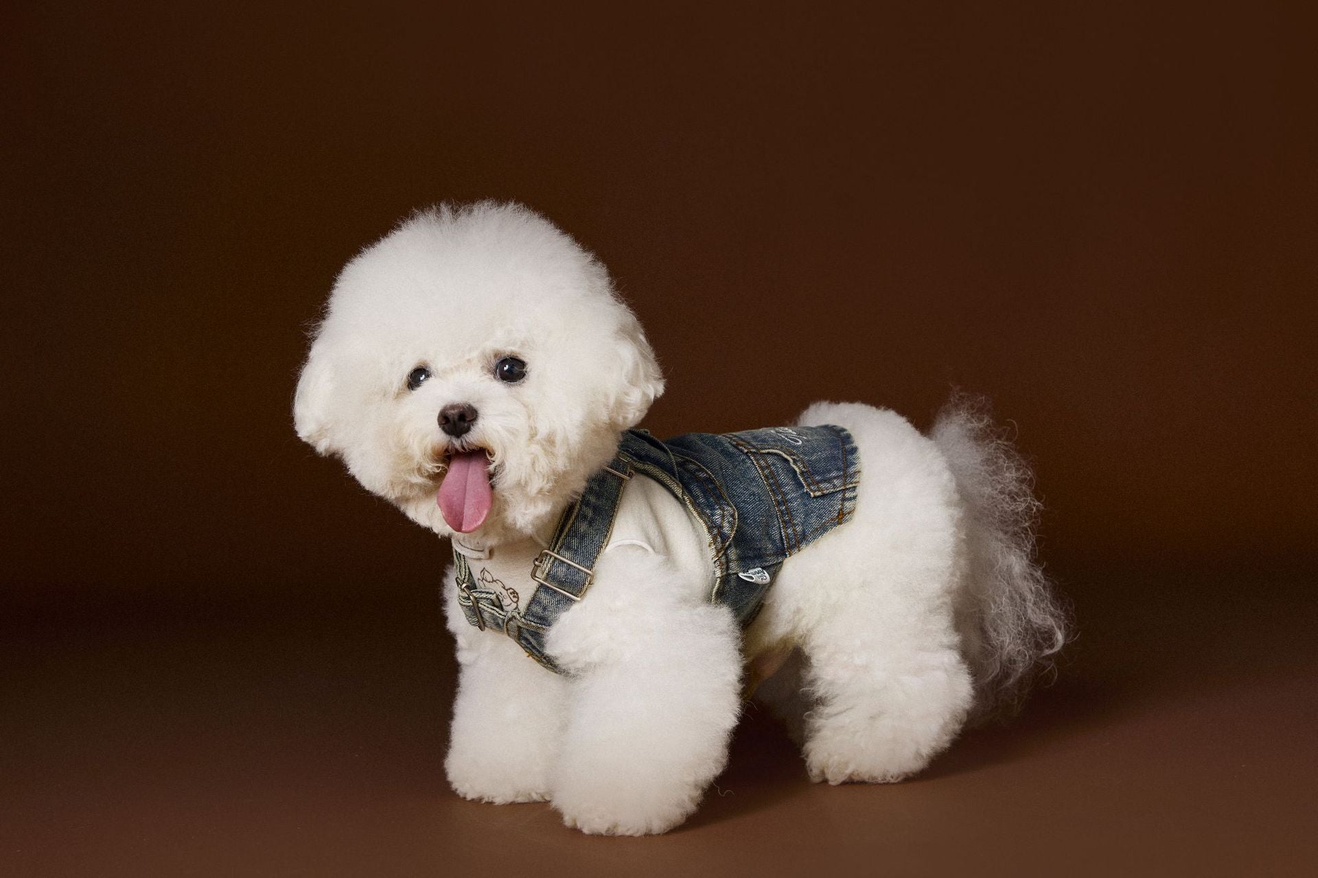 Denim Harness Overalls