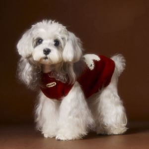 Puppy Patch Knit Sweater