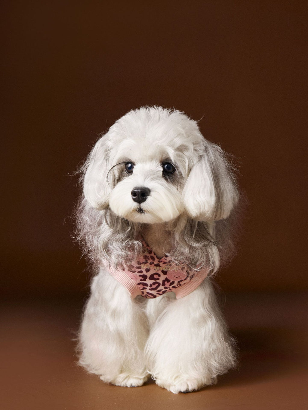 Leopard Print Dog Hoodie Vest