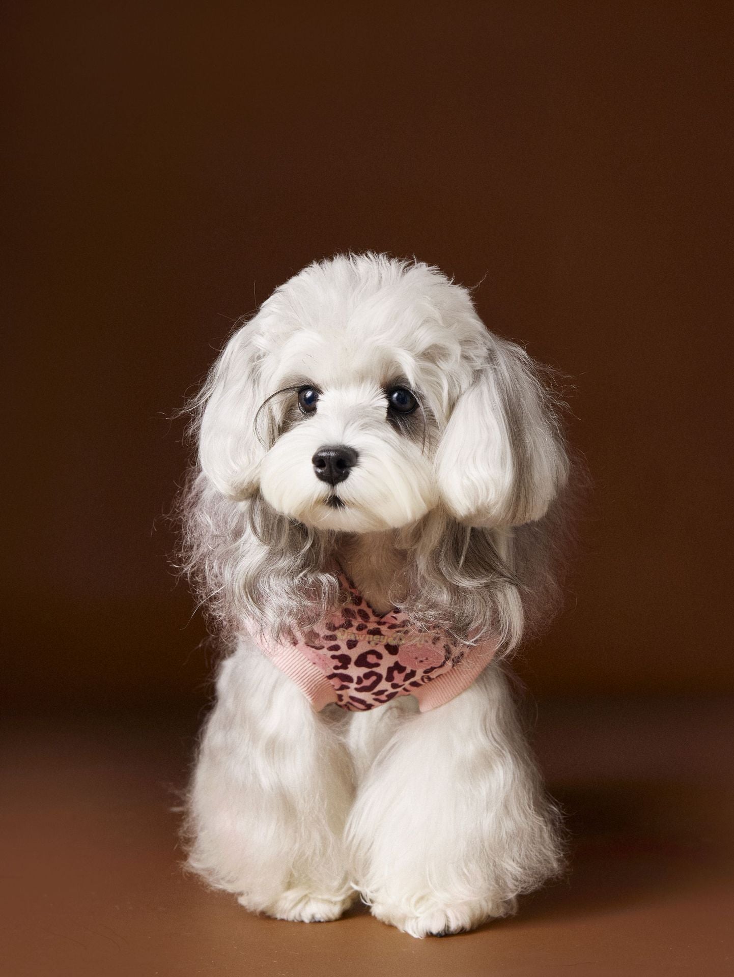 Leopard Print Dog Hoodie Vest