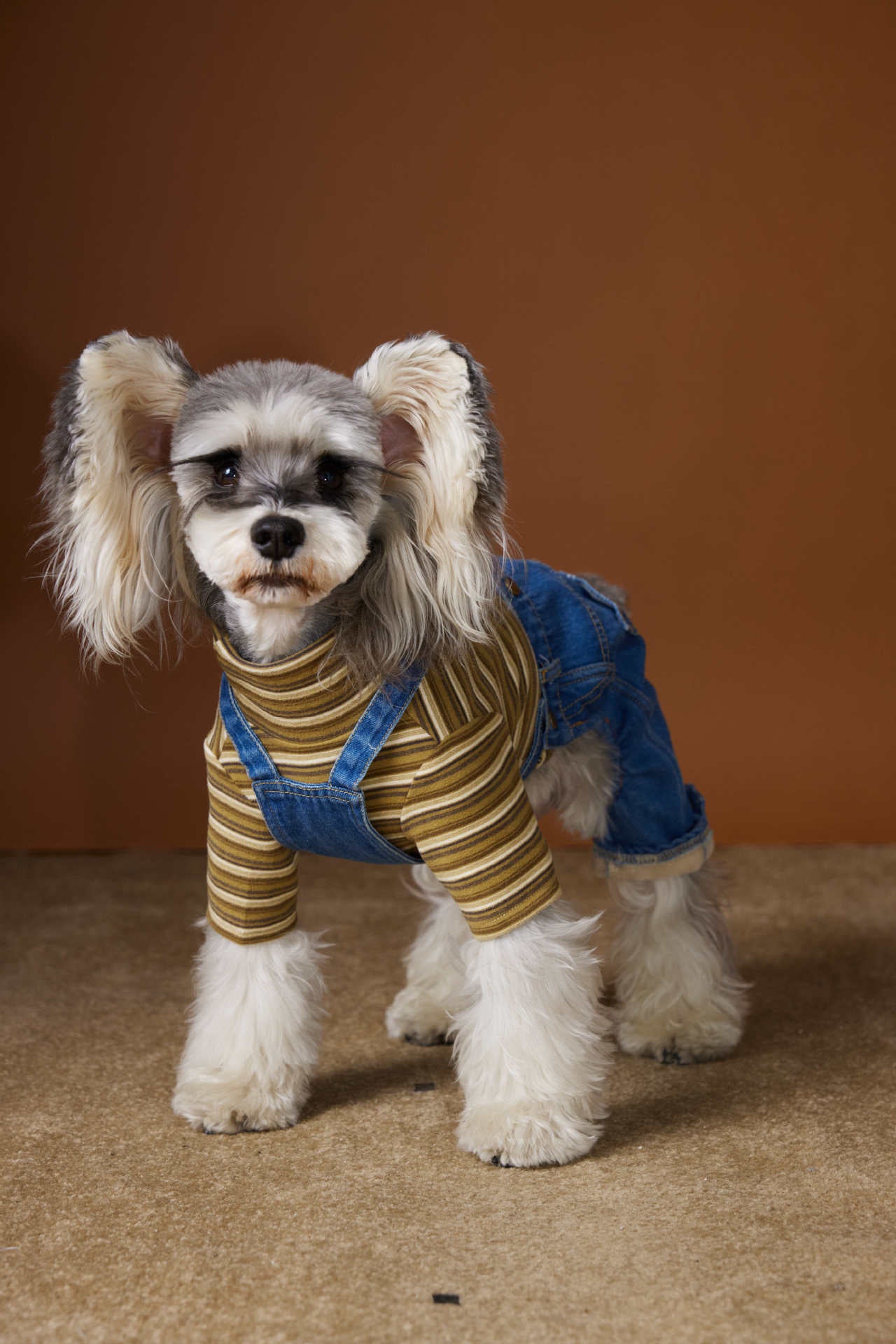 Vintage Striped Fleece-Lined Denim Overalls