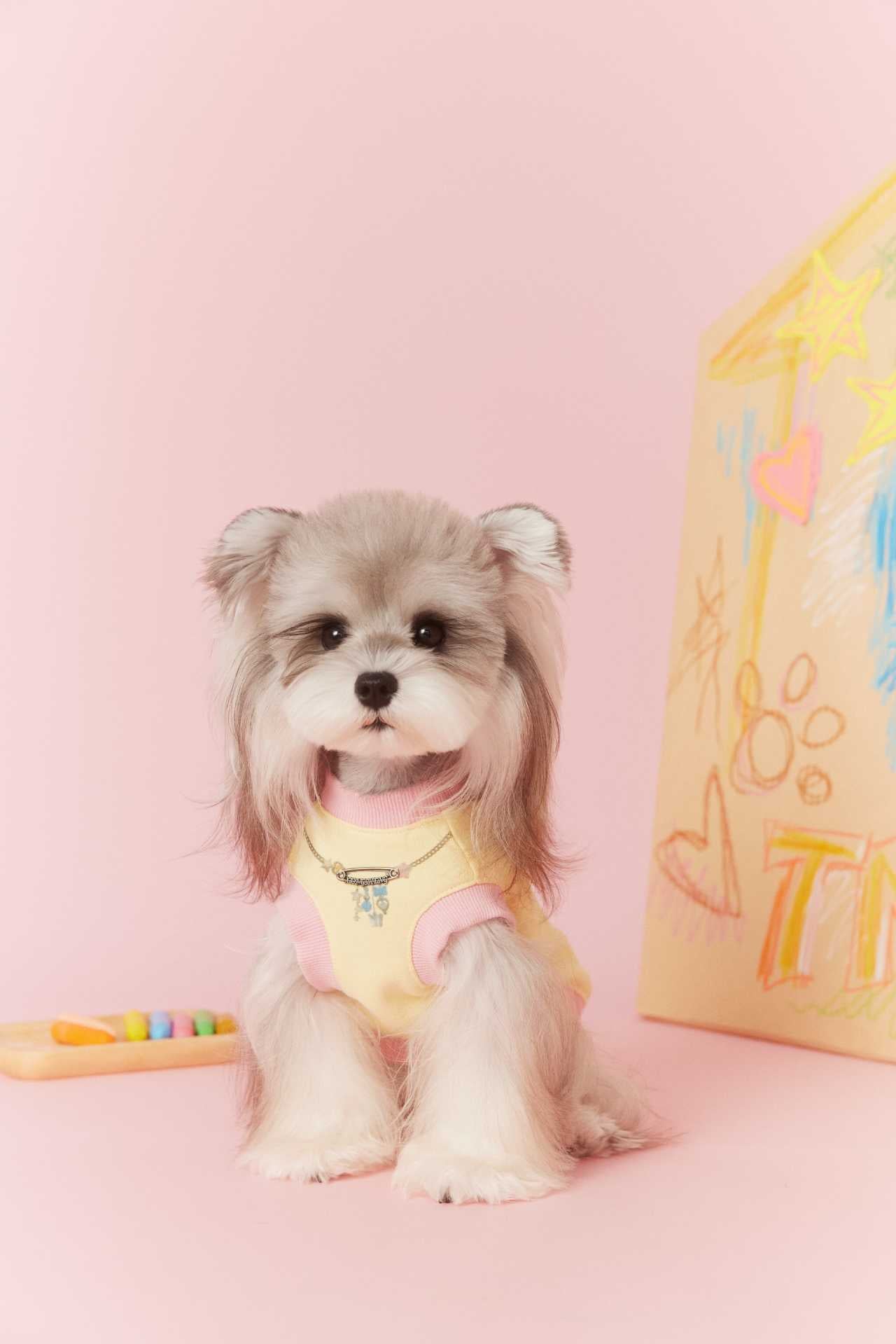 Cute Star Patch Sweatshirt for Dogs Yellow Pink