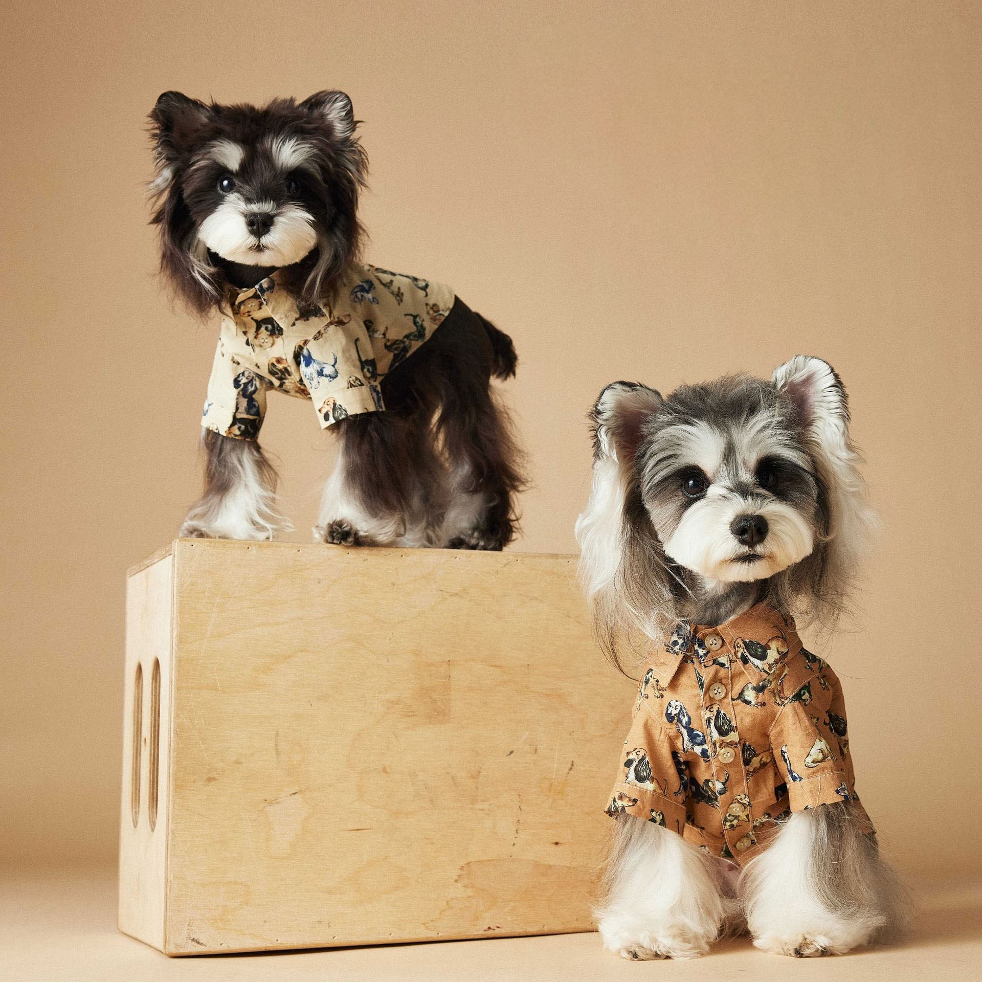 Vintage Dog Print Cotton Shirt