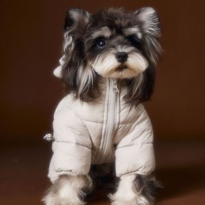 Teddy Ear Puffer Jumpsuit