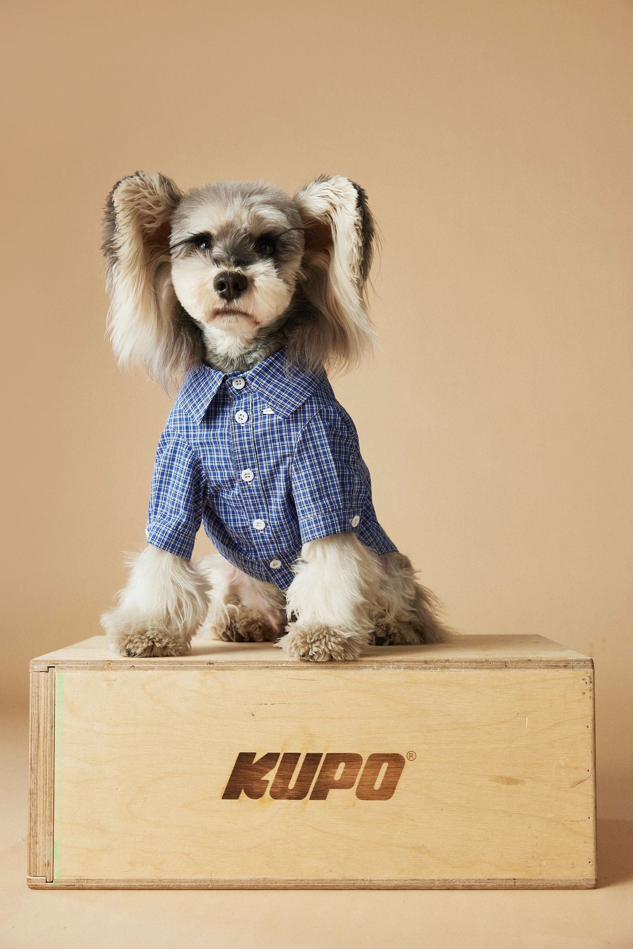 Plaid Button-Up Dog Shirt with Collar