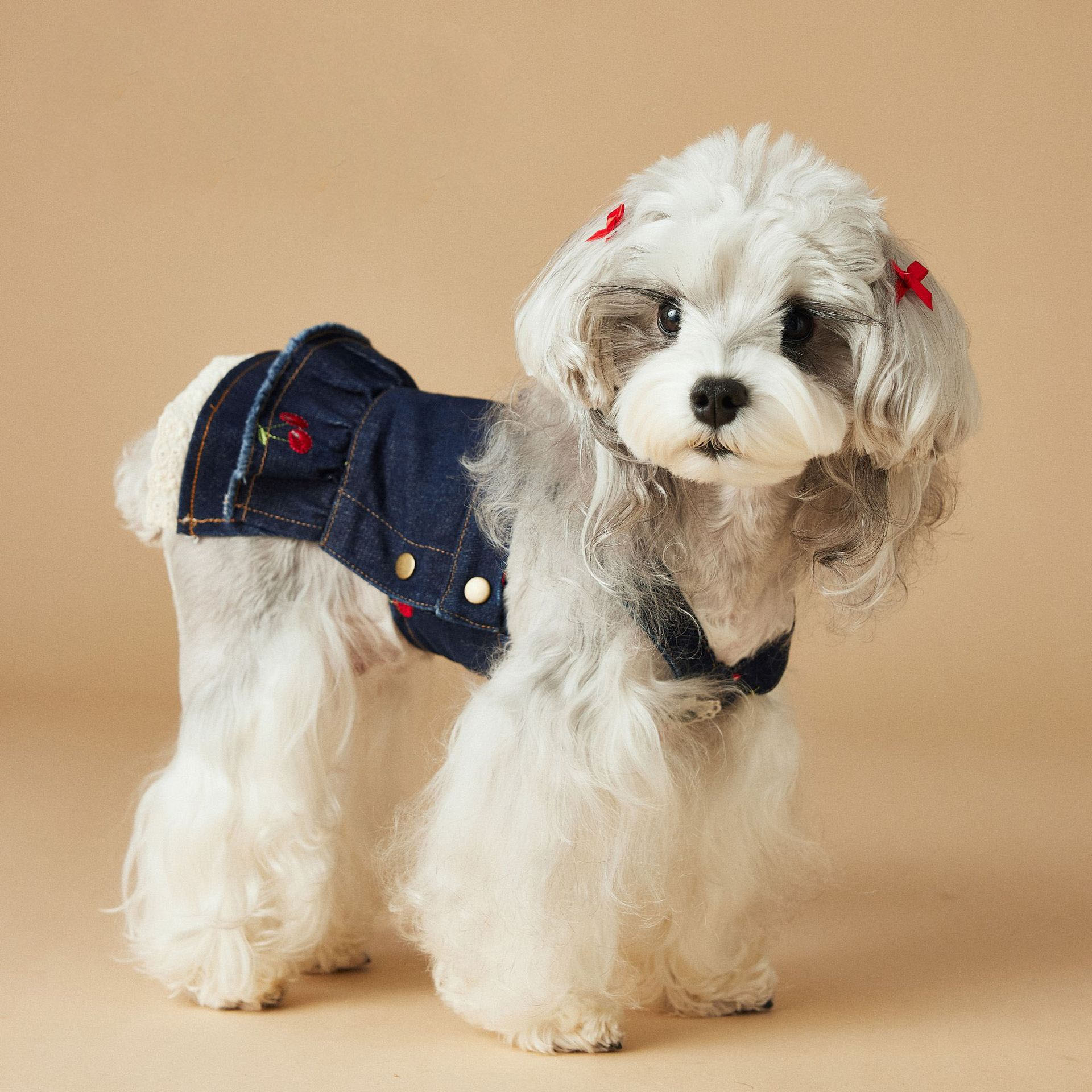 Vintage Cherry Embroidered Denim Dress
