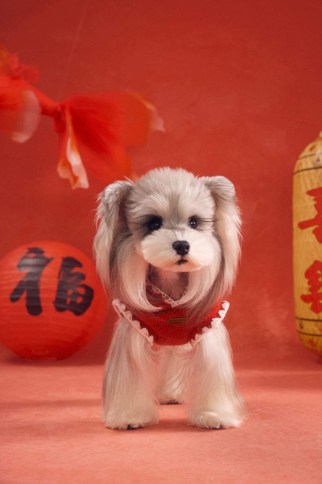 Hooded Pony Knit Vest