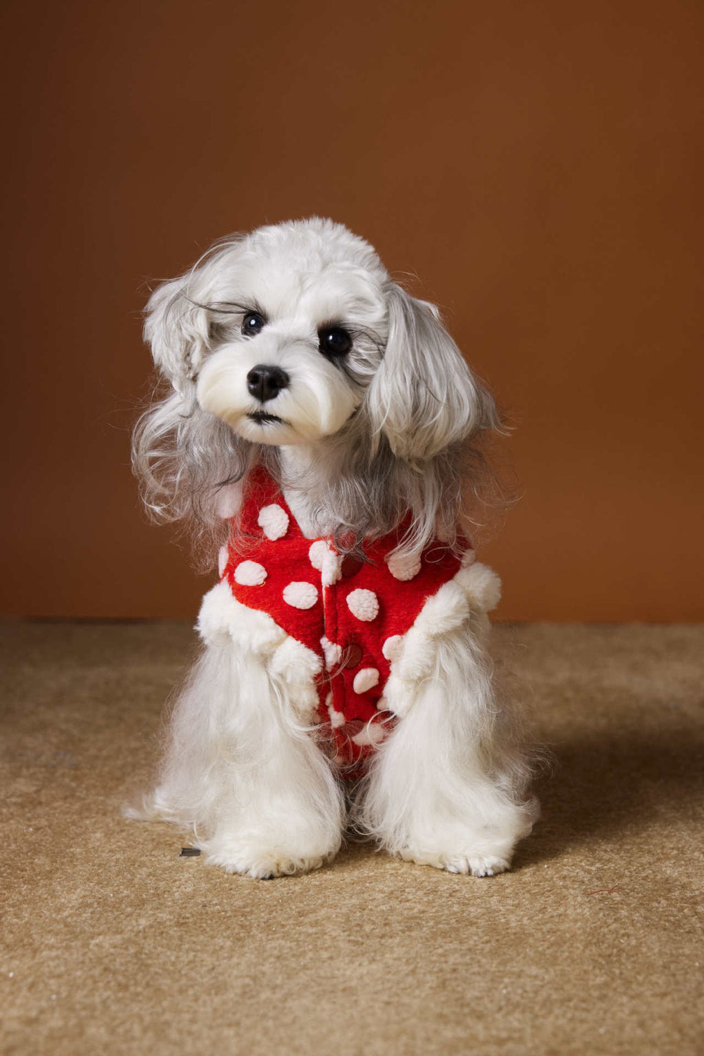 Polka Dot Hooded Fleece Vest