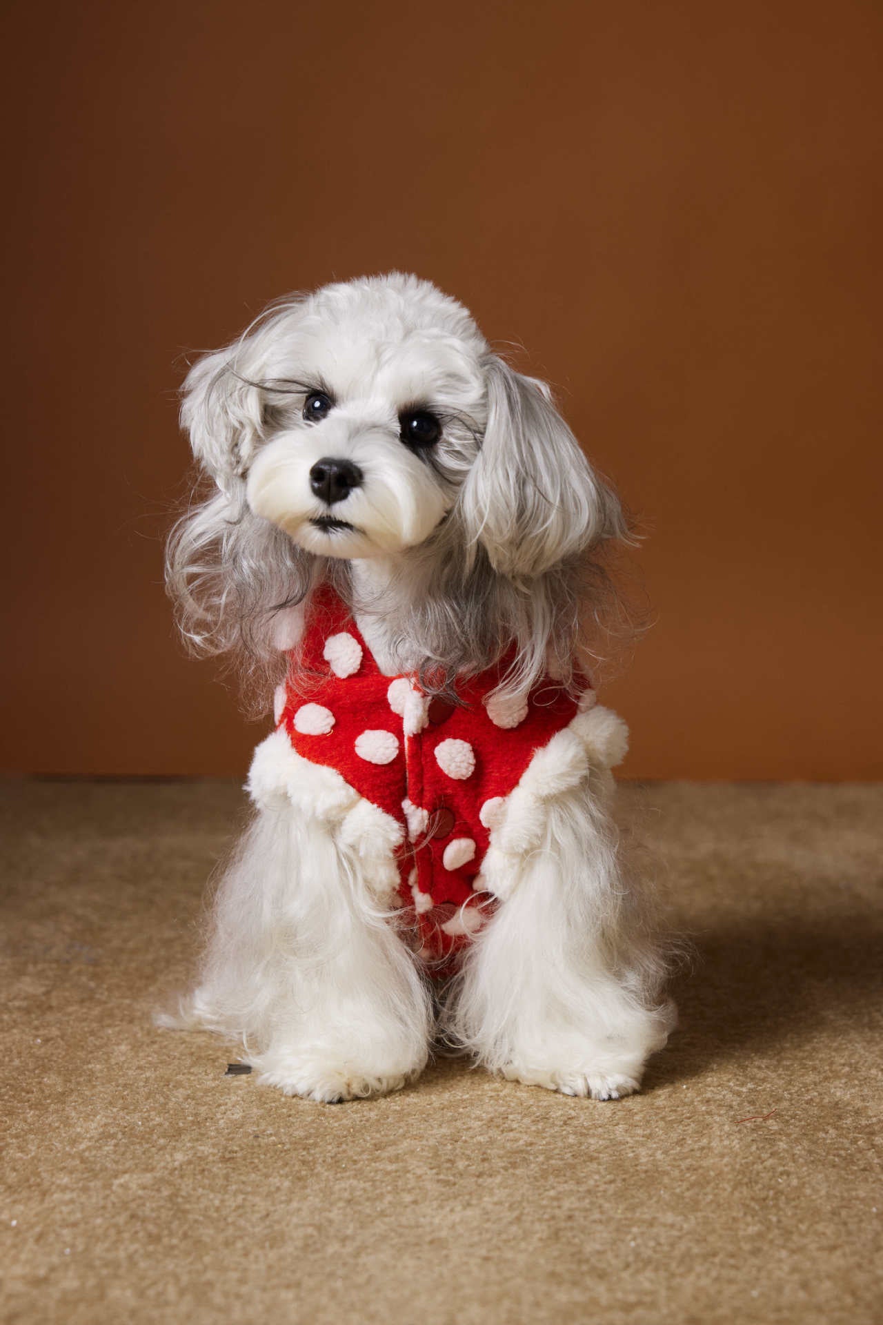 Polka Dot Hooded Fleece Vest