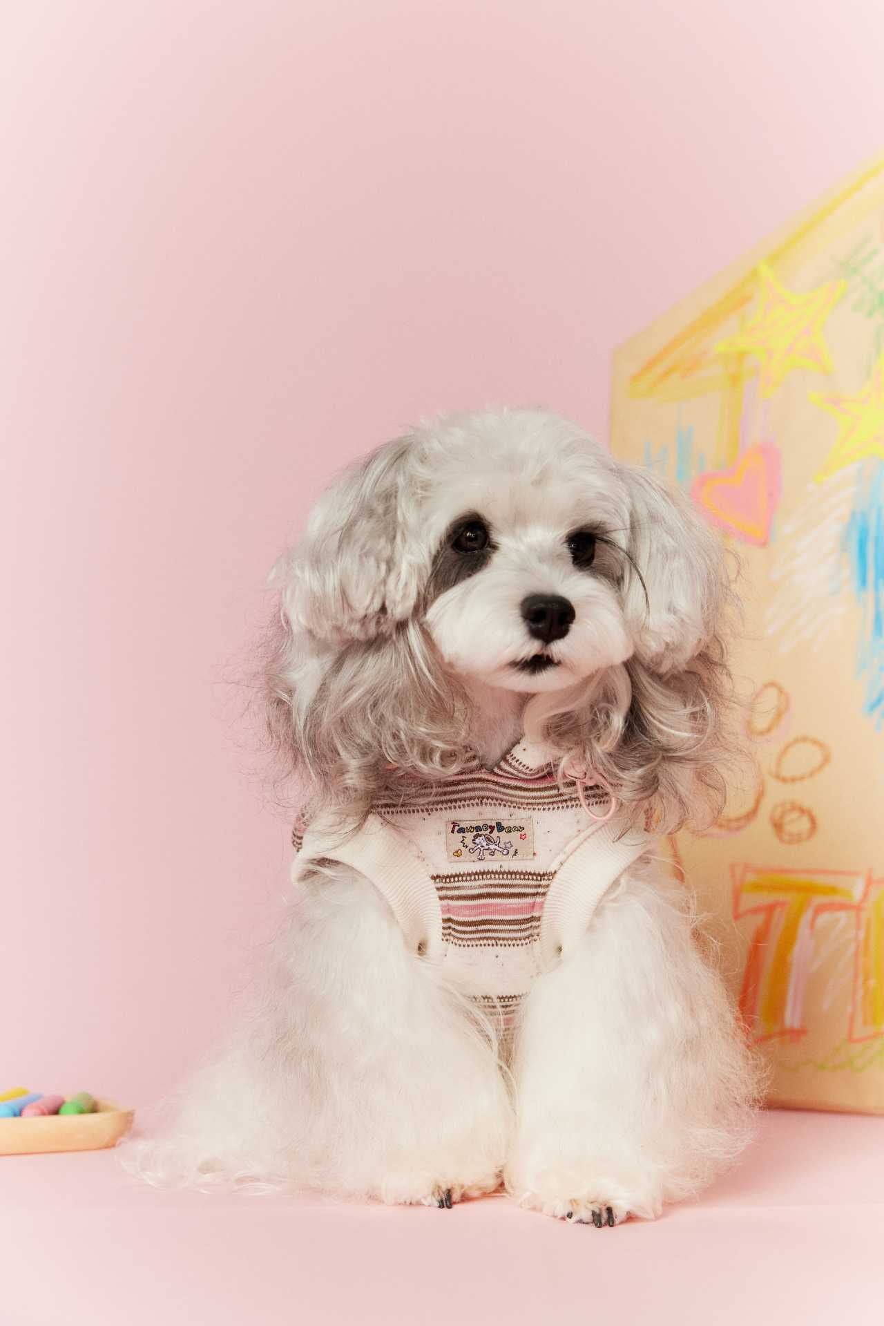 Cherry Bear Hooded Sweater