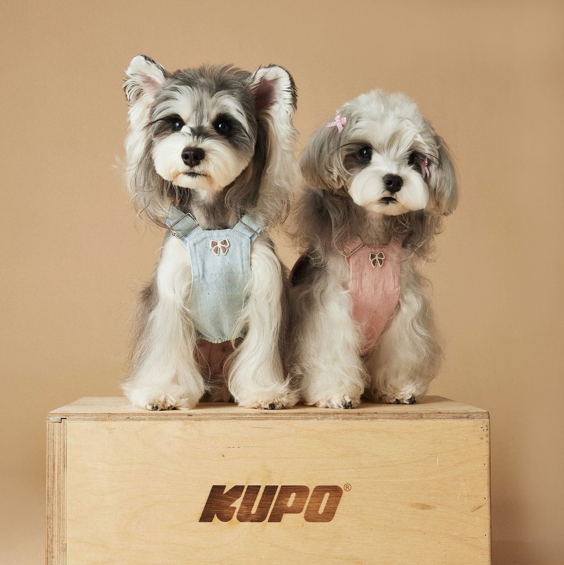 Washed Denim Harness Dress