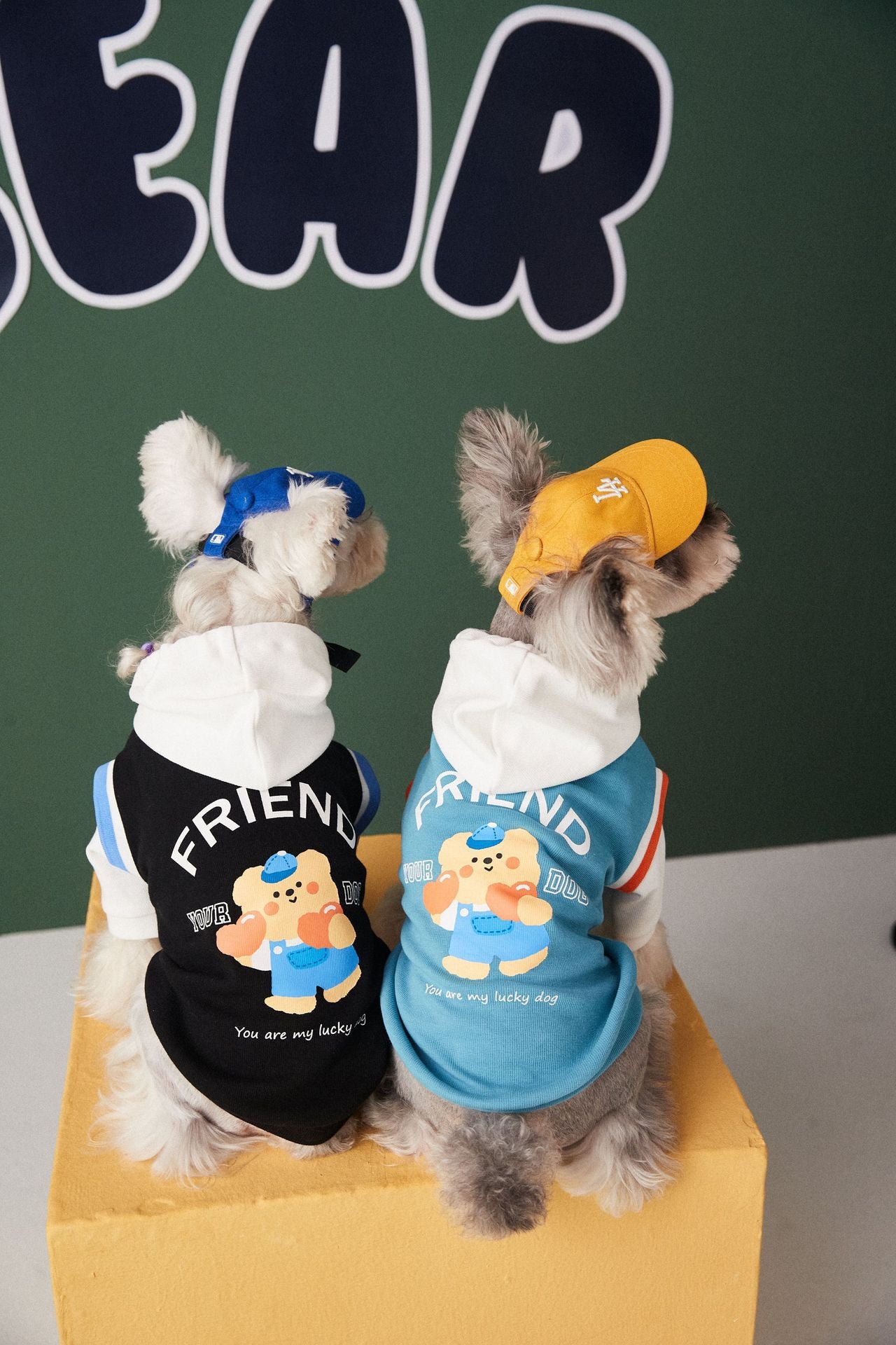 Colorblock Hoodie Sweatshirt