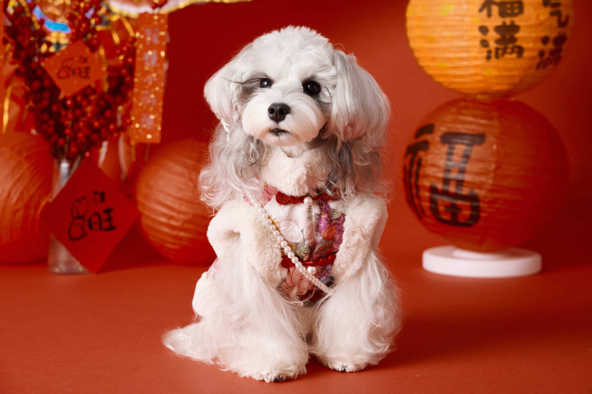 Floral Brocade New Year Vest