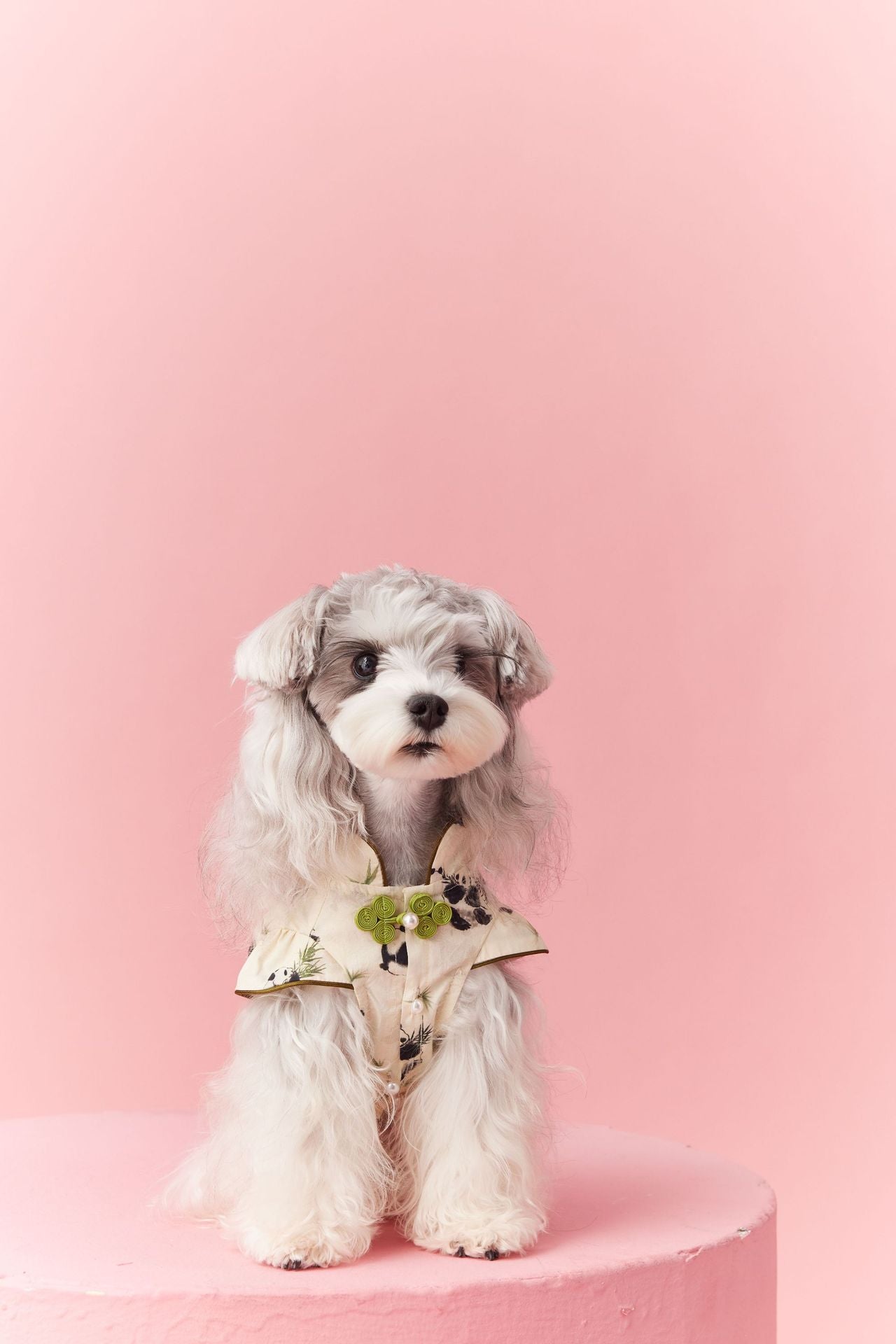 Panda Ruffle Cheongsam Dress