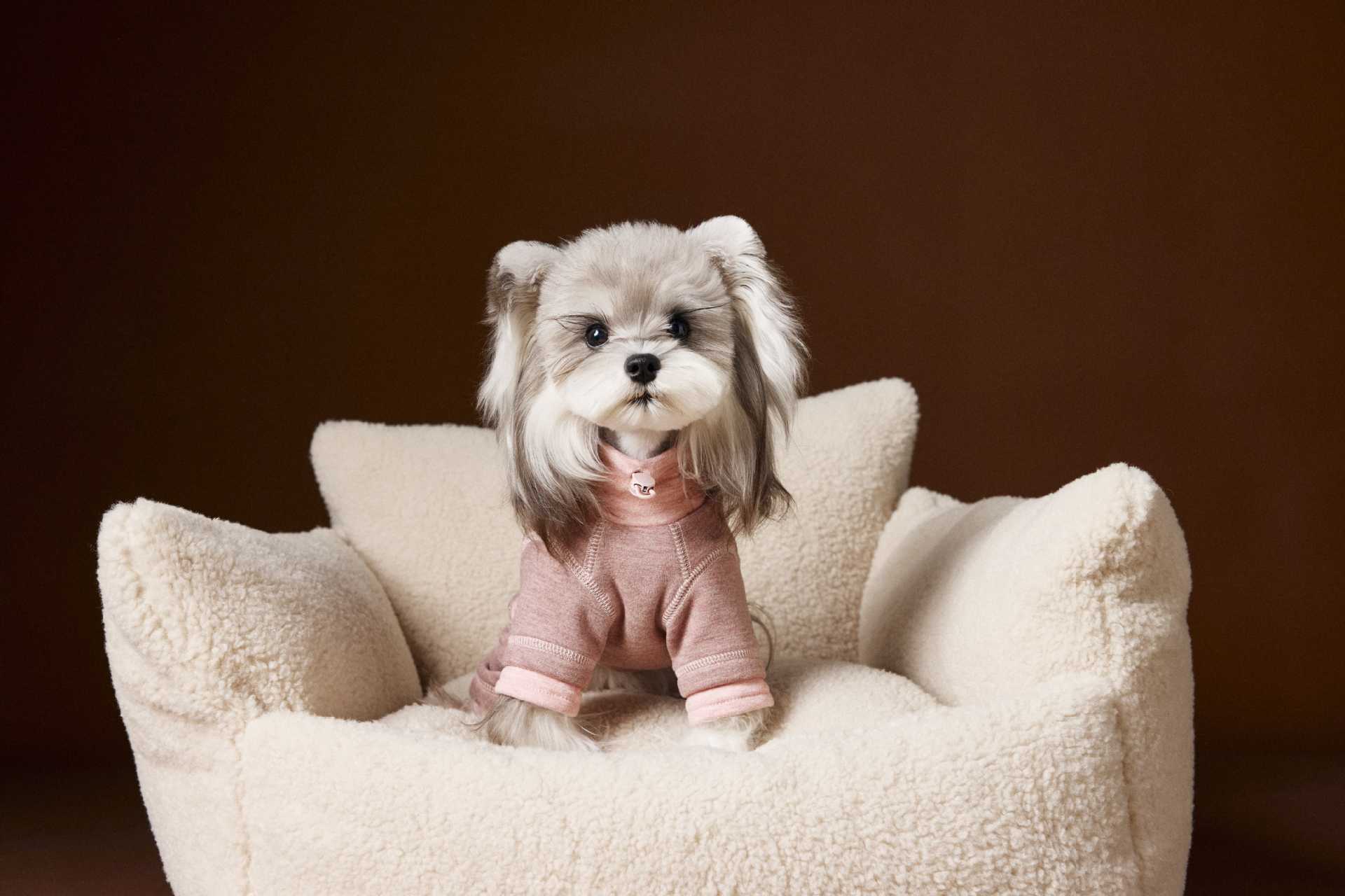 Soft Rose-Mocha Lounge Jumpsuit