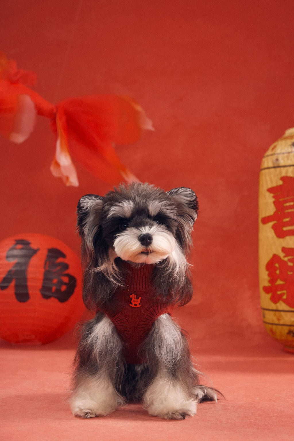 Striped Pony Knit Vest