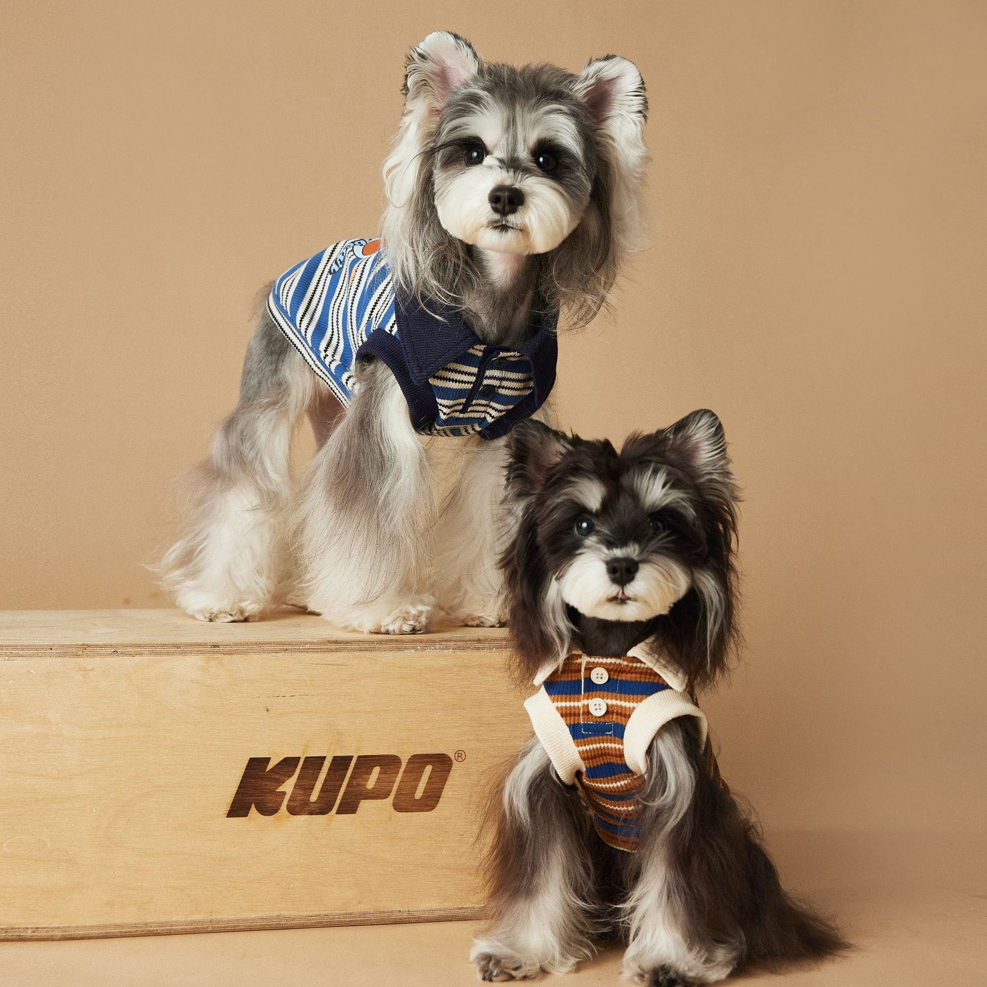 Playful Pup Striped Vest